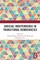 Judicial Independence in Transitional Democracies