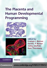Placenta and Human Developmental Programming