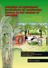 Adoption of Agricultural Innovations by Smallholder Farmers in the Context of Hiv/AIDS