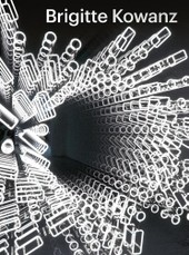 Brigitte Kowanz - Light is what we see