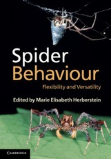 Spider Behaviour