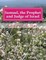 Samuel, the Prophet and Judge of Israel