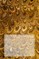 The Symbols for Spiritual Development Now