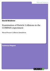 Examination of Particle Collisions in the COMPASS experiment