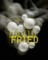 David Fried