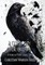 A Good Day For Crows