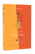 Šeimos santykių energetika