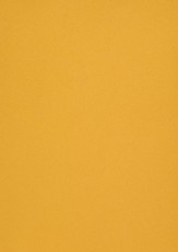 Popier.A4 CM 120g.Super Gold 408168