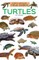 Turtles