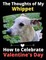 The Thoughts of My Whippet