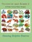 Terrestrial Land Animals 2