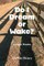 Do I Dream Or Wake?