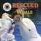 Rescued by a Whale