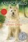 DiCamillo, K: BECAUSE OF WINN-DIXIE