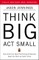 Think Big, Act Small