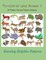 Terrestrial Land Animals 11