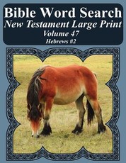 Bible Word Search New Testament Large Print Volume 47