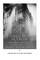 The Triangle Shirtwaist Factory Fire