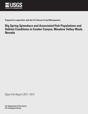 Big Spring Spinedace and Associated Fish Populations and Habitat Conditions in Condor Canyon, Meadow Valley Wash, Nevada