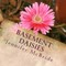 Basement Daisies