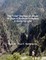 The I Am Sayings of Jesus