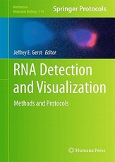 RNA Detection and Visualization