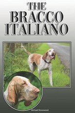 The Bracco Italiano