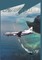 Air Affair II