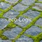 eco-Logic