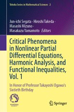 Critical Phenomena in Nonlinear Partial Differential Equations, Harmonic Analysis, and Functional Inequalities, Vol. 1