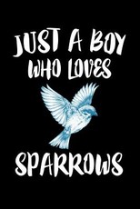 Just A Boy Who Loves Sparrows