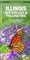 Illinois Butterflies & Pollinators