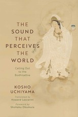 The Sound That Perceives the World