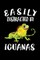 Easily Distracted By Iguanas