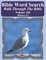 Bible Word Search Walk Through The Bible Volume 168