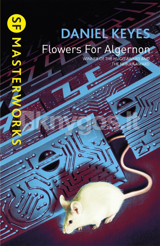 高感度ショップで2023年売れたブランド Flowers for Algernon | Knygos.lt トイガン