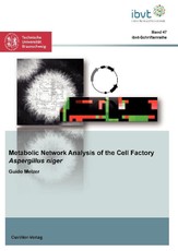 Metabolic Network Analysis of the Cell Factory Aspergillus niger