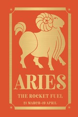 Aries: The Rocket Fuel