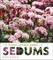 The Plant Lover's Guide to Sedums