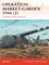 Operation Market-Garden 1944 (2)