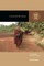 Living with the Vinaya