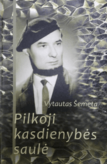 Pilkoji kasdienybės saulė