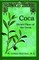 Coca