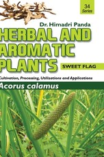 HERBAL AND AROMATIC PLANTS - 34. Acorus calamus (Sweet Flag)