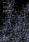 Spaces