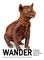 Wander