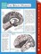 The Brain (Human) (Speedy Study Guides)