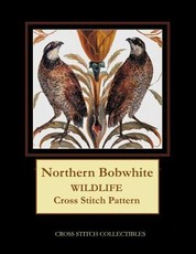 Northern Bobwhite