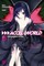 Accel World, Vol. 1 (Light Novel)