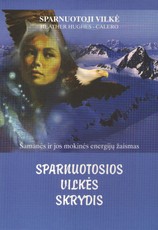 Sparnuotosios vilkės skrydis